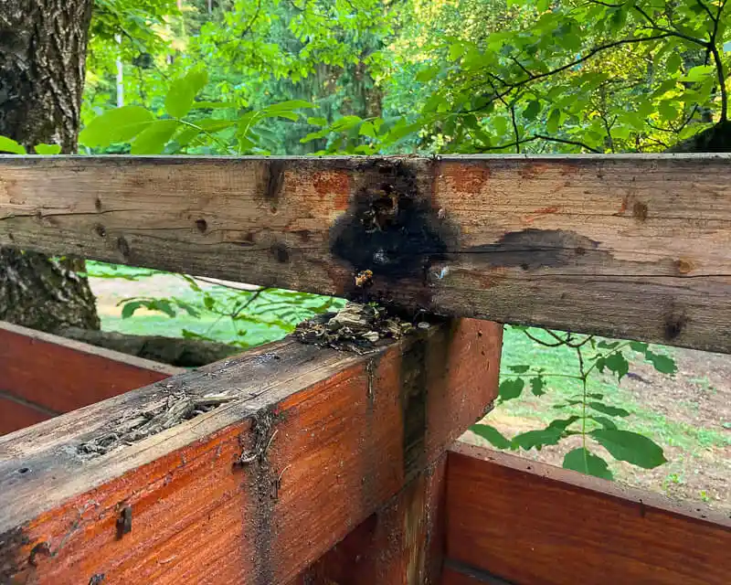 Terrace rotten beam